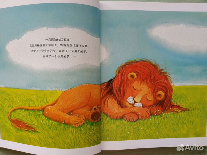 Детская книга на китайском языке