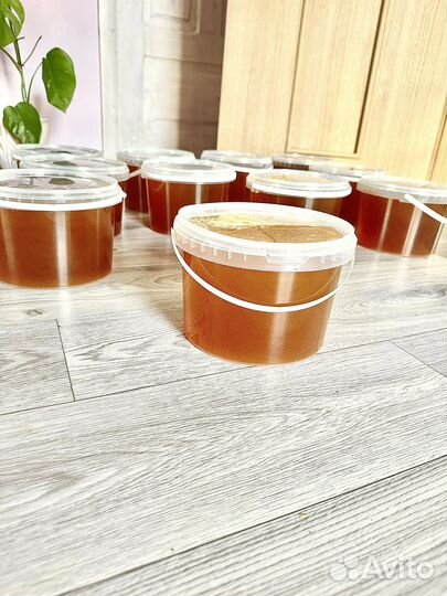 Мёд урожая 2023 года