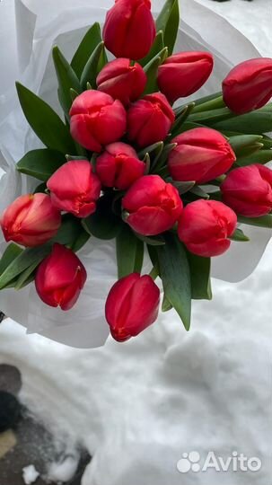 Тюльпаны к 8 марта