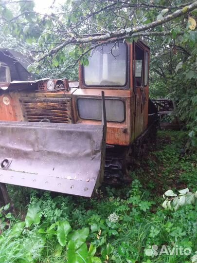 Трактор тдт-55