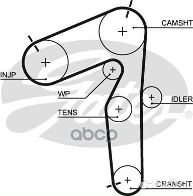 Ремень грм Gates 5462XS Gates