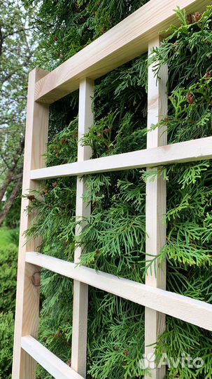 Шпалера для вьющихся растений