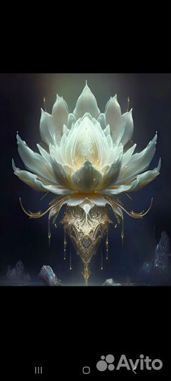 Духовное развитие