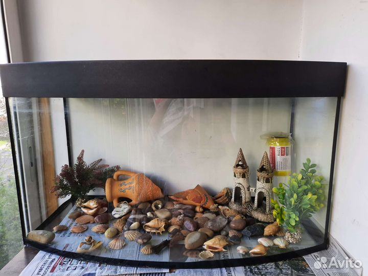 Аквариум