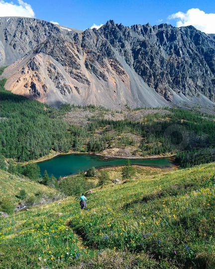 Участок 6 га (СНТ, ДНП)