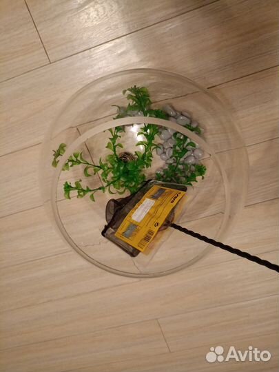 Аквариум 10 литров