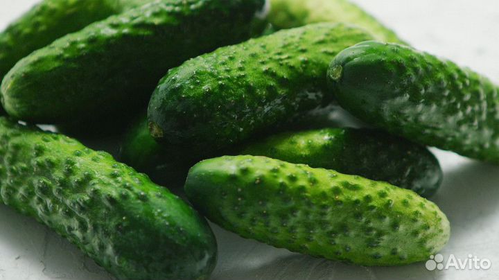 Огурцы свежие домашние