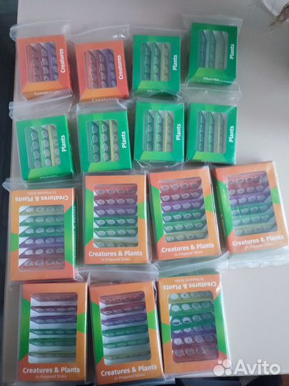 Новые наборы микропрепаратов для микроскопа