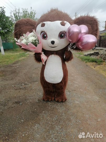 Аниматор /Поздравление /Ростовые куклы