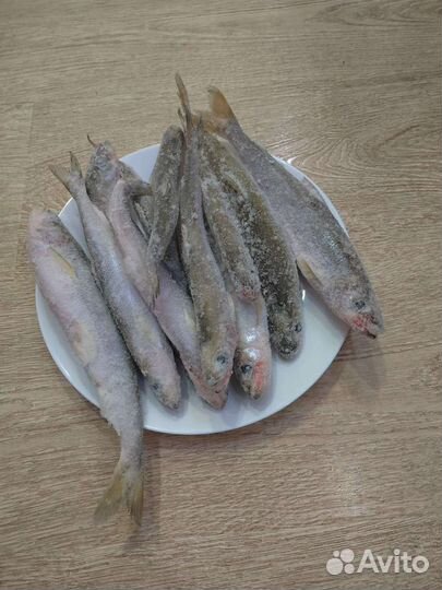 Рыба, икра и морепродукты