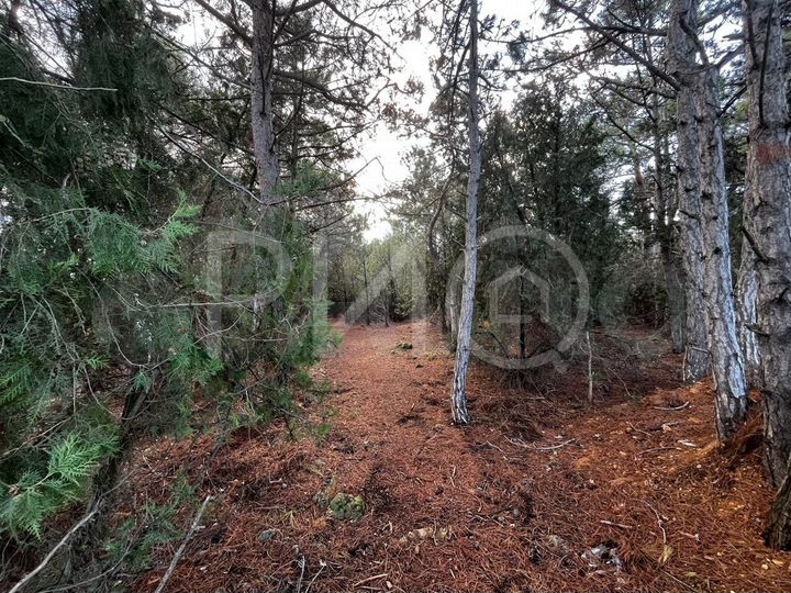 Участок 4,2 сот. (СНТ, ДНП)