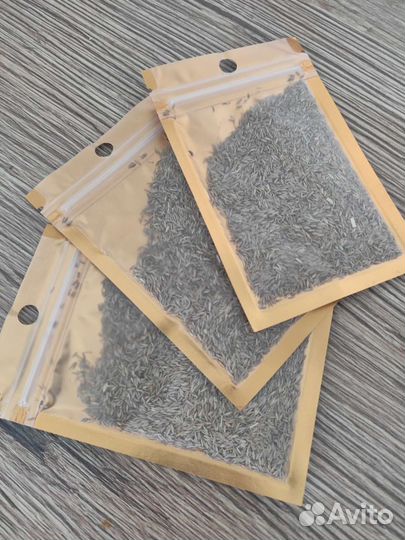 Семена для аквариума 