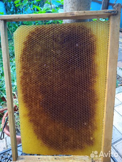 Ульи бу дадан