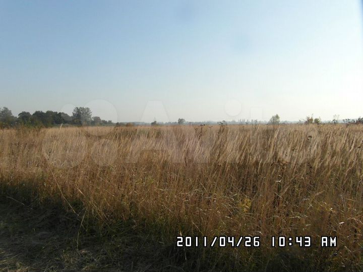 Участок 16 сот. (СНТ, ДНП)