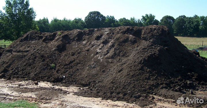 Чернозем