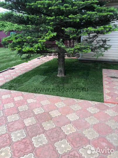 Укладка рулонного газона