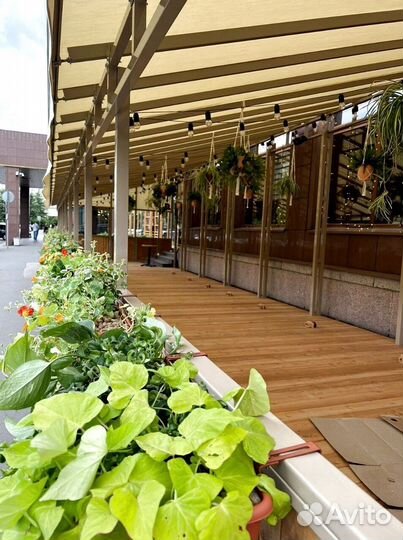 Ретро занавес