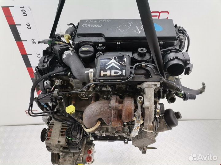 Двигатель (двс) для Peugeot-Citroen 206 8HZ