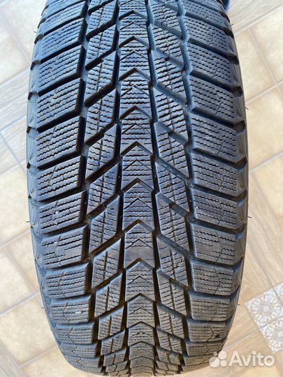 Nexen Winguard Ice Plus 195/55 R16
