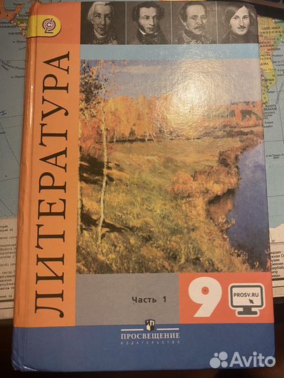 Учебник по литературе 9 класс
