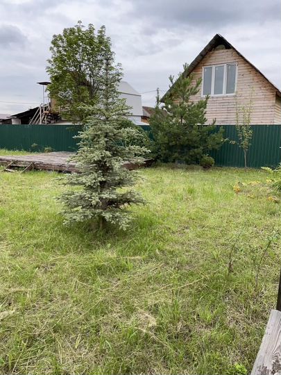 Участок 6,5 сот. (ИЖС)