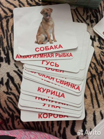 Карточки Домана