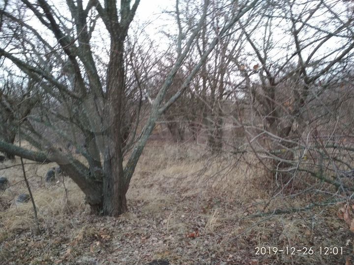 Участок 12 сот. (СНТ, ДНП)