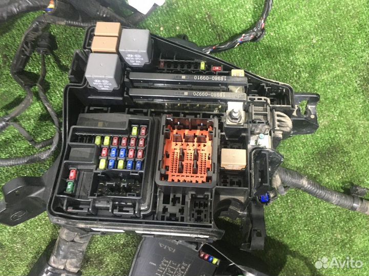 Электропроводка моторная + блок предохранителей