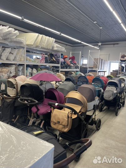 Огромный выбор колясок всех видов