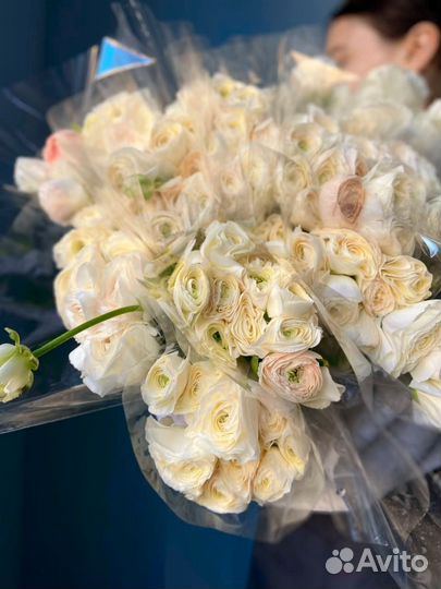 Ранункулюсы одноголовые и кустовые