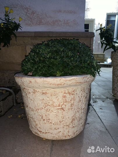 Кашпо (горшки )для растений из бетона