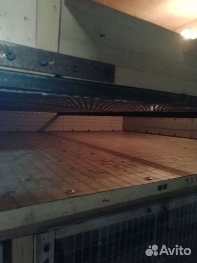 Брудер для суточной птицы автоматический