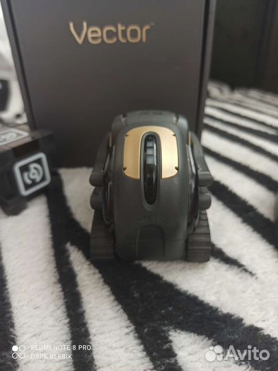 Робот anki vector