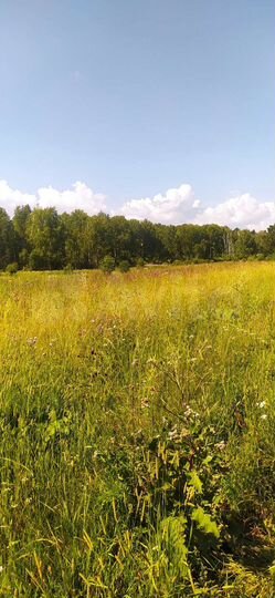 Участок 4,58 га (СНТ, ДНП)