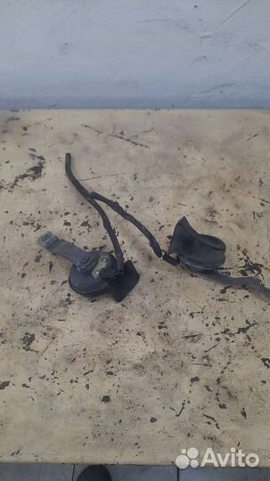 Клаксон (гудок) nissan primera p12