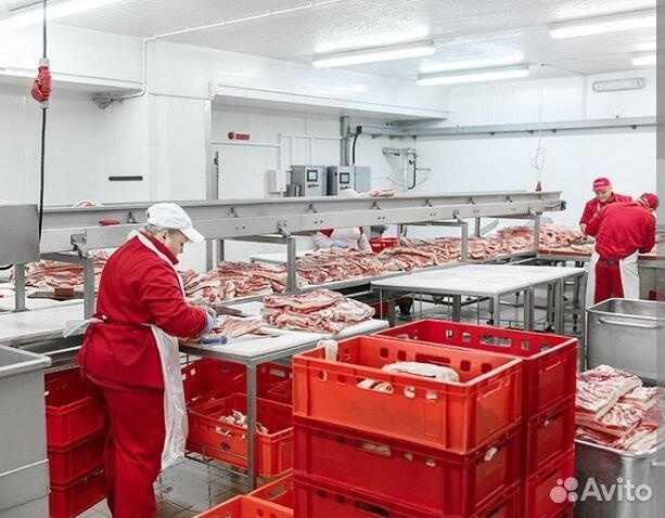 Фасовщики, грузчики (женщины и мужчины)