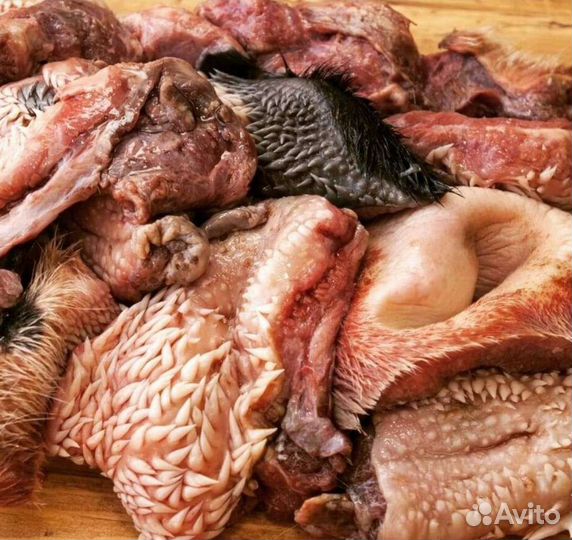 Мясо для собак в Иваново
