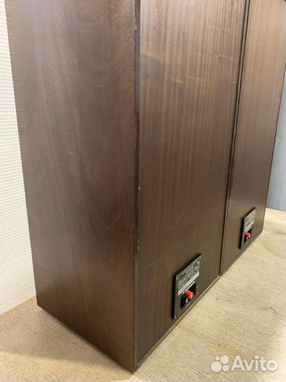 Колонки Padiotehniks S-90, Электроника Б1-01