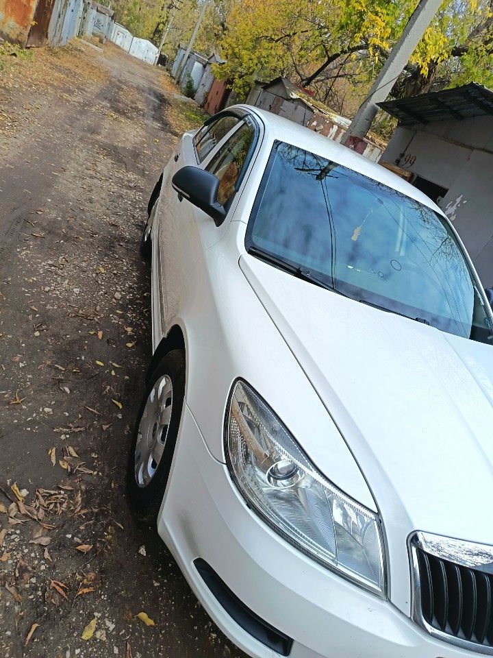 Skoda Octavia: фото владельца