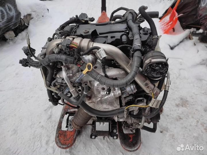 Двигатель дизель w470 X-class 699.301 2018