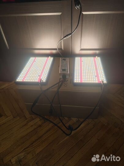 Samsung Quantum Board (Квантум борд) 240w