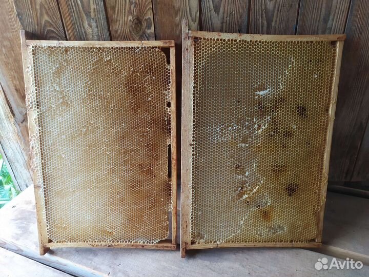 Рамки с сушью