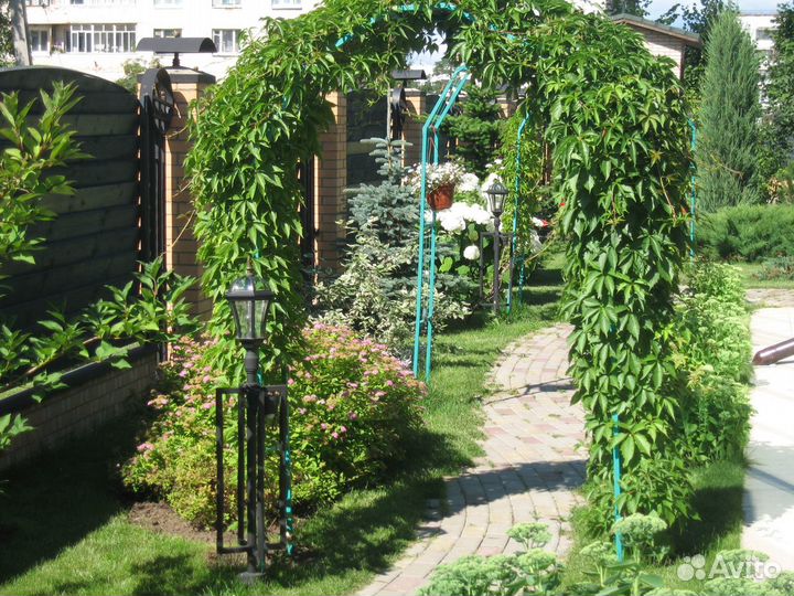 Благоустройство участка