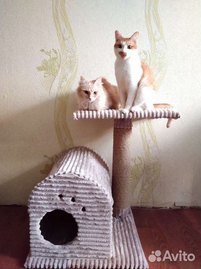 Кошачий домик с когтеточкой 