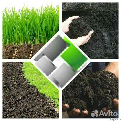 Торф (высш.качества), Чёрнозем, Перегной Коровий