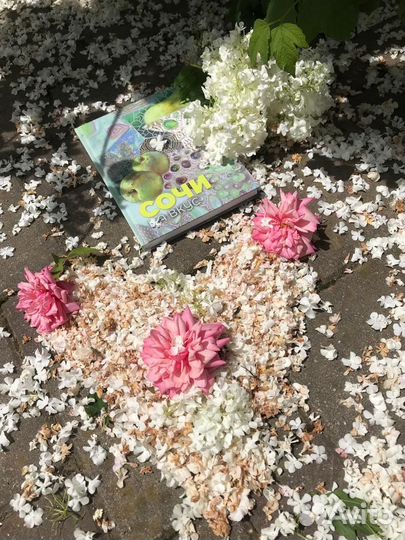 Книга Сочи на вкус