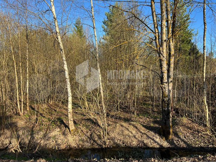 Участок 6,6 сот. (СНТ, ДНП)