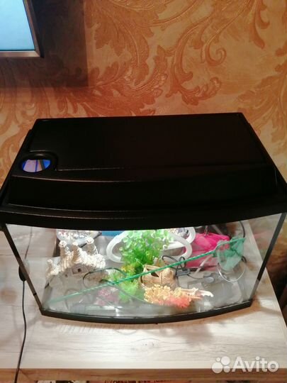 Аквариум