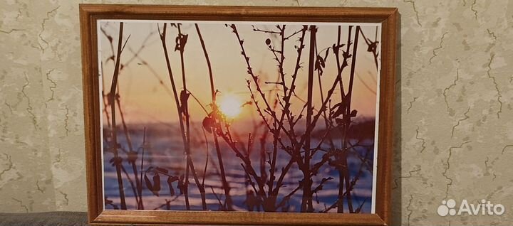 Фотокартина24