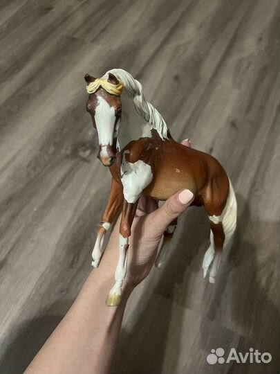 Предпродажа кастом Collecta classic